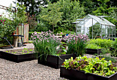 Vegetable garden with raised beds and greenhouse in summer