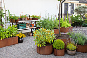 Verschiedene Pflanzen in Töpfen und Hochbeeten im Garten mit Kiesboden