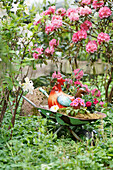 Decoration in the garden - mini wheelbarrow with ceramic chicken and flowers