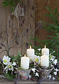 Vier Harztöpfe mit Kerzen, Christrosen und duftendem Winterjasmin (Jasminum polyanthum)