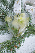 Frozen heart with Christmas rose