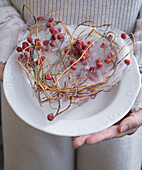 Frozen heart with rose hips and knotweed tendrils on a plate