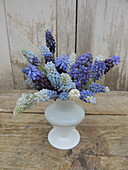 A white vase with a collection Muscari flowers