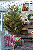 Geschmückter Weihnachtsbaum und Geschenke im Gewächshaus