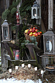 Winter still life with apples, fir branches, and lanterns