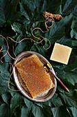 Natural honey soap and honeycomb on silver tray surrounded by leaves