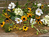Septemberblumen - Sonnenhut, Hortensie und Anemone