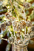 Branches of pine cones sprayed white in a vase