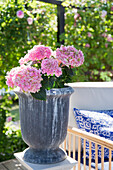 Pink flowering hydrangeas in a vintage pot