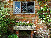 Begrüntes Backsteinhaus, davor Blumenbeet (England)