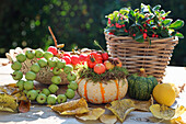 Autumn decoration with pumpkin, ornamental apples, mock berry (Gaultheria) and foliage