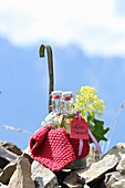 Alpenfrauenöl (für Frauenprobleme)