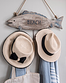 Driftwood fish with single word BEACH , sunhats and towels