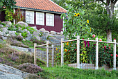 Fenced summer bed in the garden on a slope, red-brown wooden house in the background