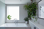 Bathtub and houseplants in the bathroom with light-colored wall tiles