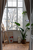 Philodendron, easel, and candles in front of a window