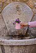 Mauve flowers in a coffee mug (Malva) under a tap