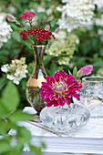 Dahlia and red yarrow (Achillea) in crystal vases