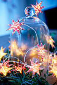 Glass bell with red and white star-shaped fairy lights