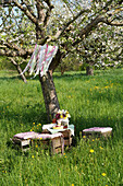 DIY-Mobile aus Stoffresten am blühenden Apfelbaum, darunter Picknick mit Holzkisten
