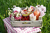 Picnic basket with strawberries, drink and flowers in meadow