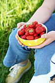 Schale mit Erdbeeren in den Händen einer sitzenden Person draußen