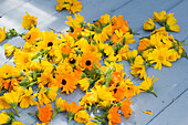 Freshly collected marigolds (Calendula) on a wooden table