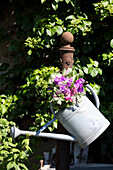 Vetches and elderflowers in a zinc watering can