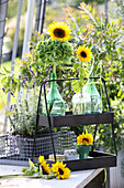Sonnenblumen mit grünen Hortensien in Ballonflaschen und Kranz aus Weinranken