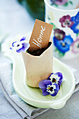 Pansies with place cards