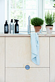 Kitchen herbs and washing-up liquid by a sink