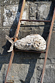 Deko-Fisch aus Treibholz auf Metallleiter an einer Steinmauer