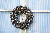 Wreath made from mussel shells on a weathered window