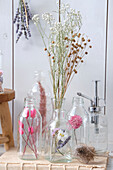 Dried flowers collection