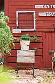 Bucket as a planter on a folding table in front of red wooden house