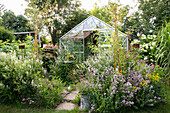 Greenhouse in a summer garden with lush plants