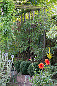 Üppig bewachsener Garten mit DIY-Pergola