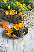 Ringelblumen (Calendula) auf Teller und im Vintage Metallgefäß und Blüten im Korb