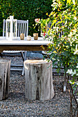 Einfache und rustikal Möbel mit Hockern aus Baumstümpfen auf Kiesboden im Garten