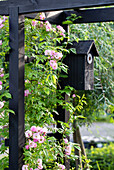 Portal mit Kletterrosen (Rosa) und Vogelhäuschen im Garten