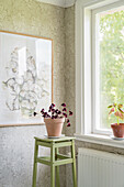 Grün gestrichener Hocker mit Topfpflanze vor dem Fenster, Tapete in Grüntönen an der Wand
