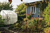 An allotment garden in autumn with a garden house and a greenhouse