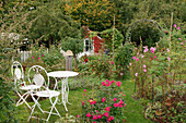 Seating area in a natural allotment garden with roses