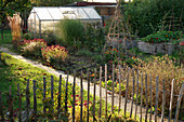 Natural autumn garden with perennials, greenhouse in the background
