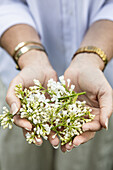Hands holding white lilacs