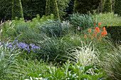Perennial garden mixed