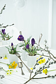 Cups filled with crocus, tray, primrose, pussy willows, and cutlery as a gardening tool