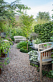 Garden path lined with plants and seating, hornbeam hedge separates the garden areas from each other