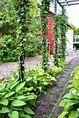 Long path with simple pergola, overgrown with ivy