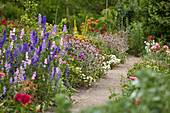 A diverse group of flowers in a perennial garden, Germany